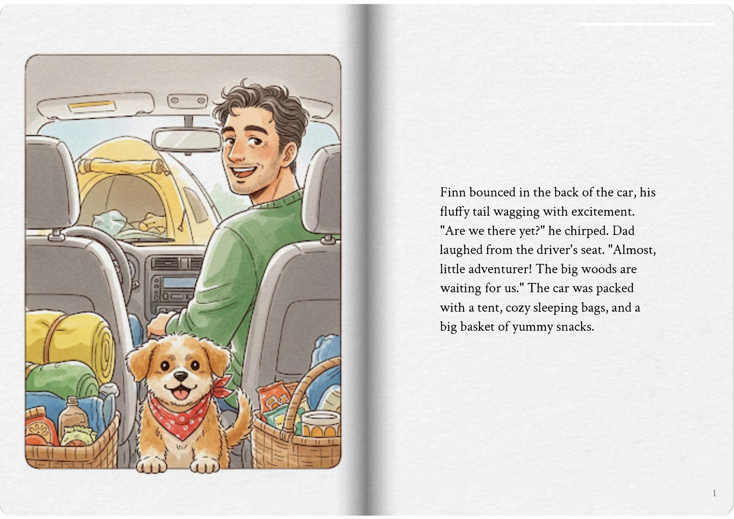 Finn's Big Camping Adventure