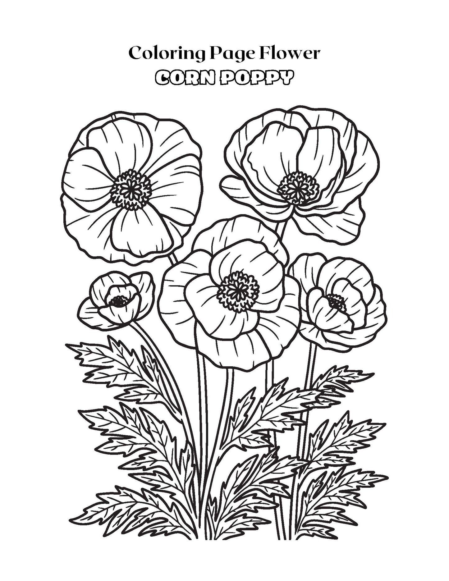 Coloring Page Flower SUNFLOWER