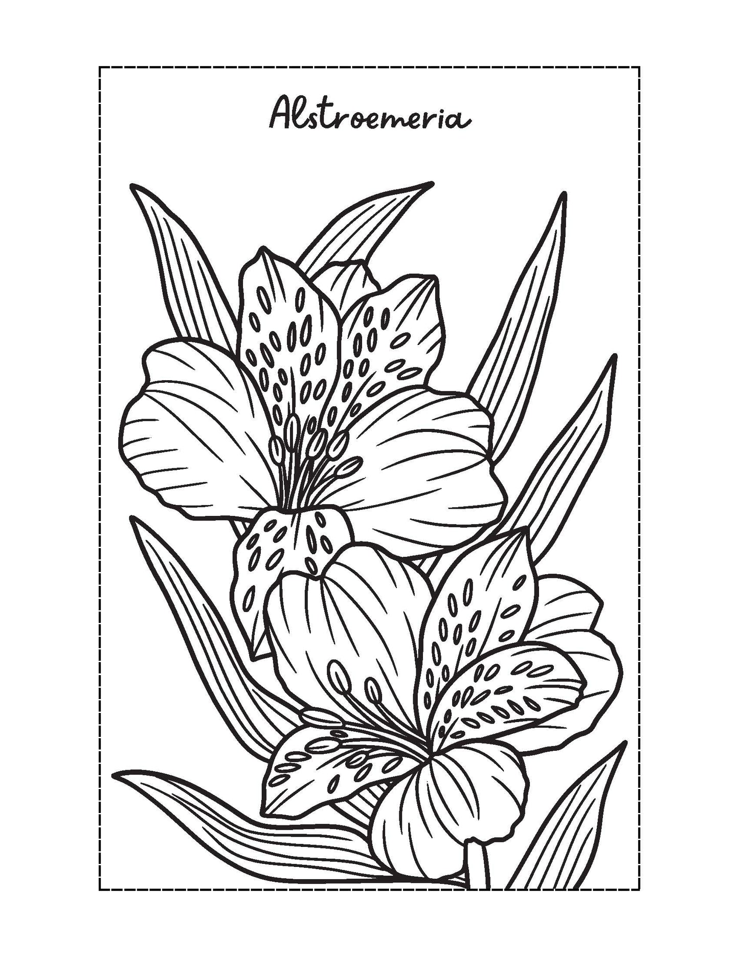 Flower Coloring Book