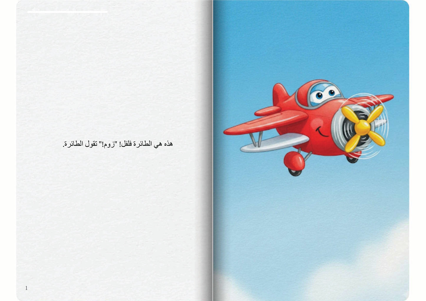 الطائرة في السماء