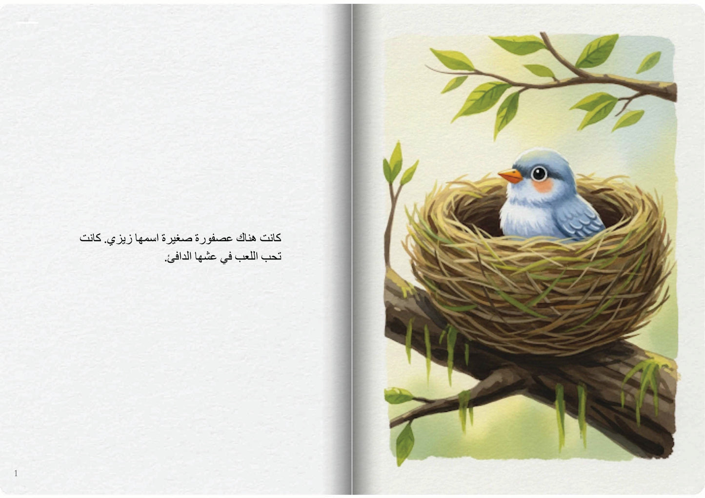 قوس قزح زيزي