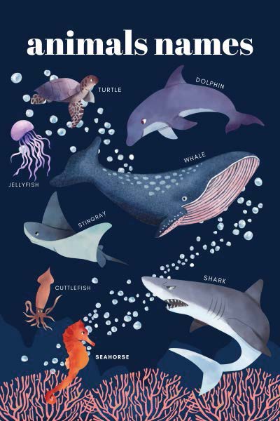 Animals Names