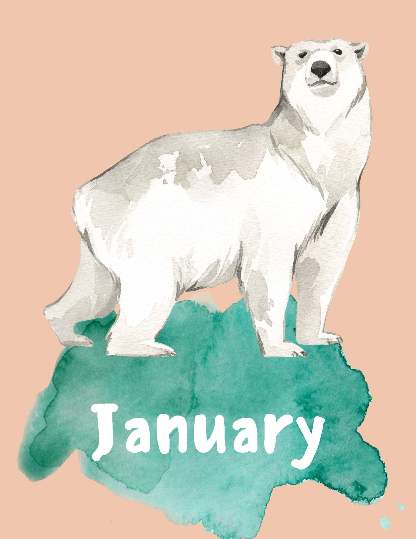 Animals Names