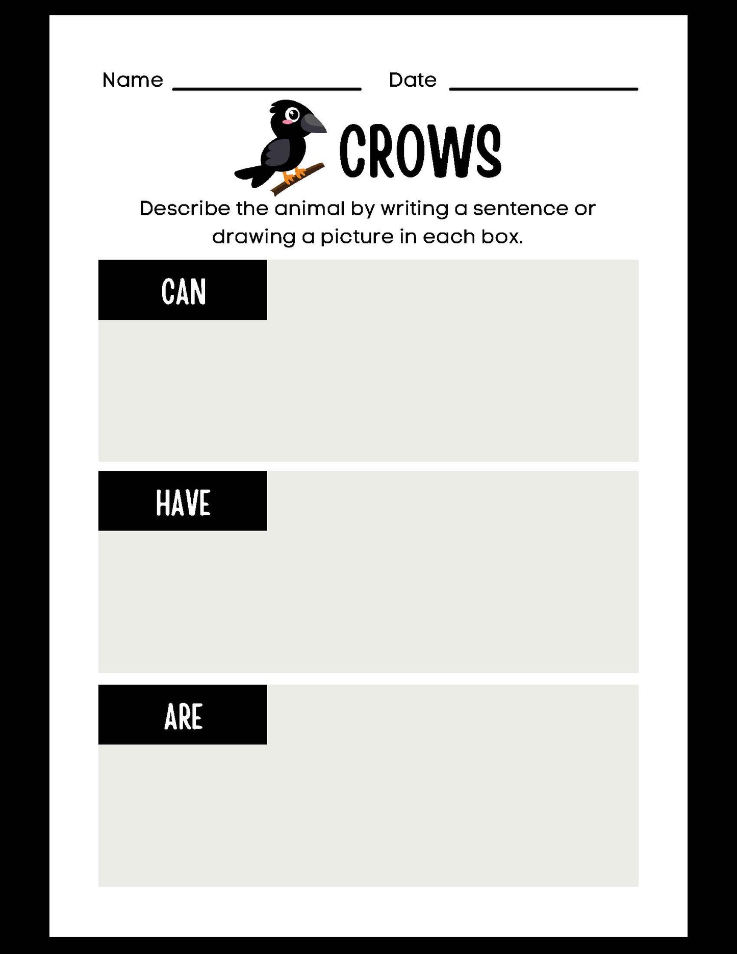 ANIMAL RESEARCH CROWS