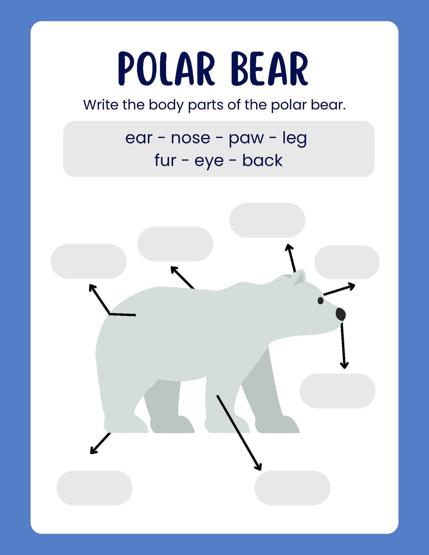 ARCTIC ANIMALS  body parts