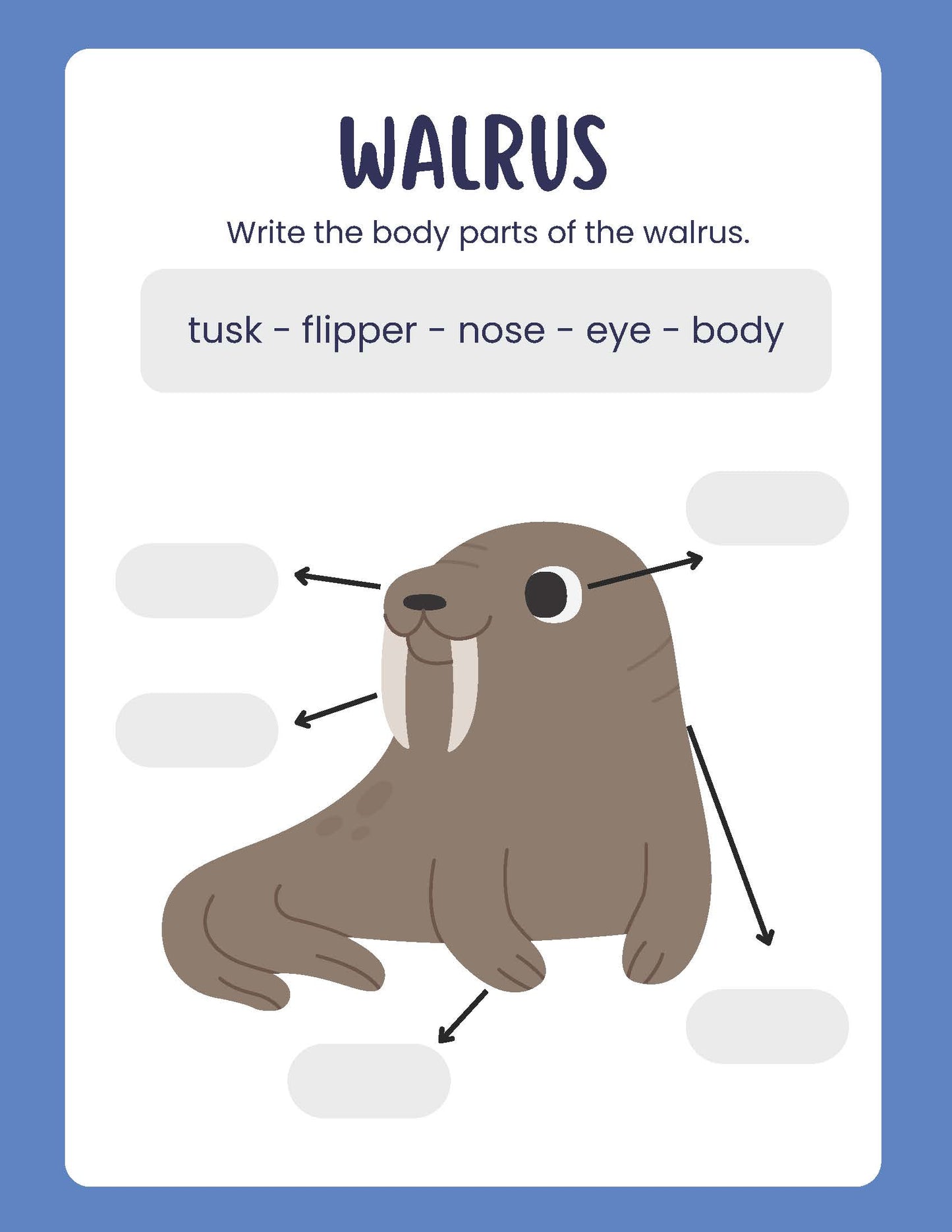 ARCTIC ANIMALS  body parts