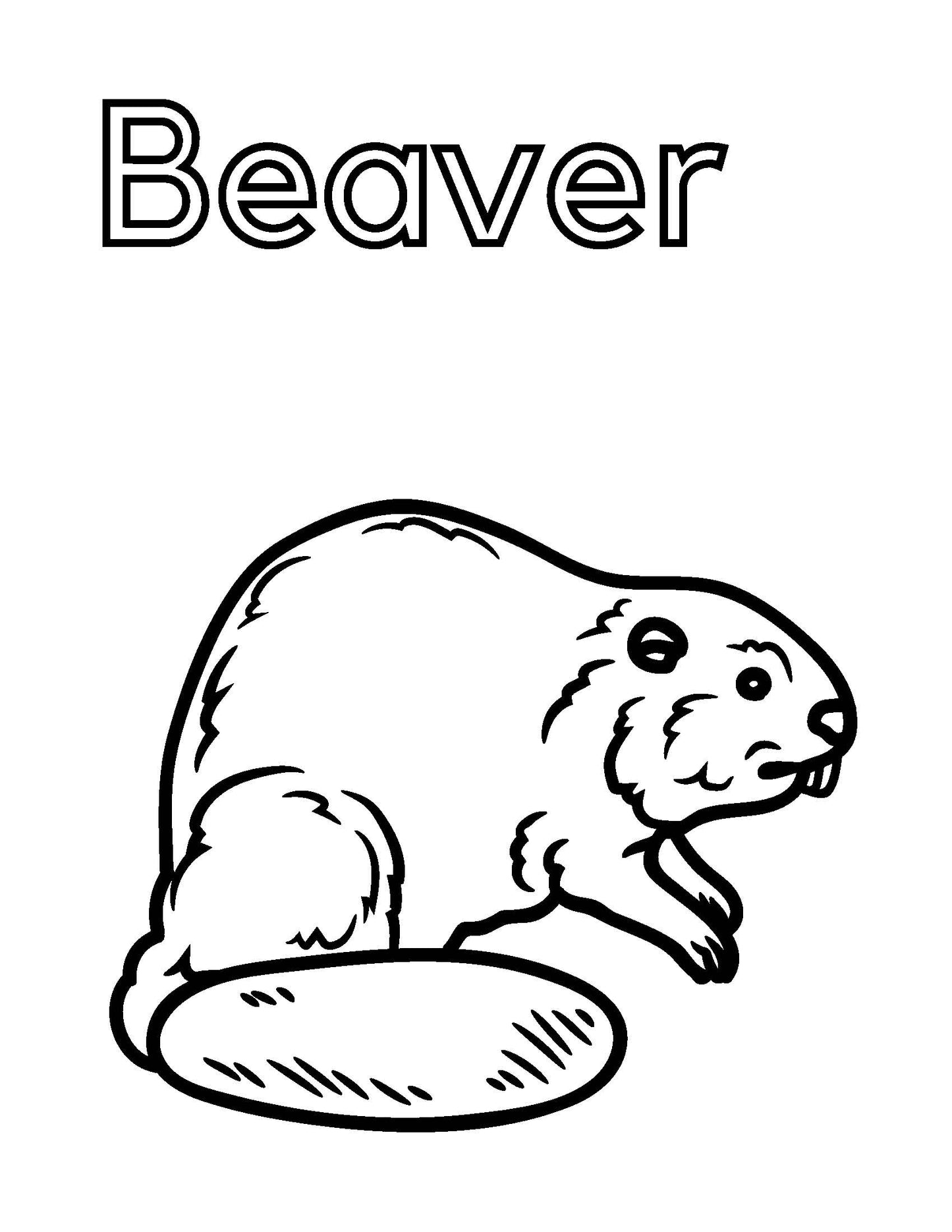 Animals of Canada