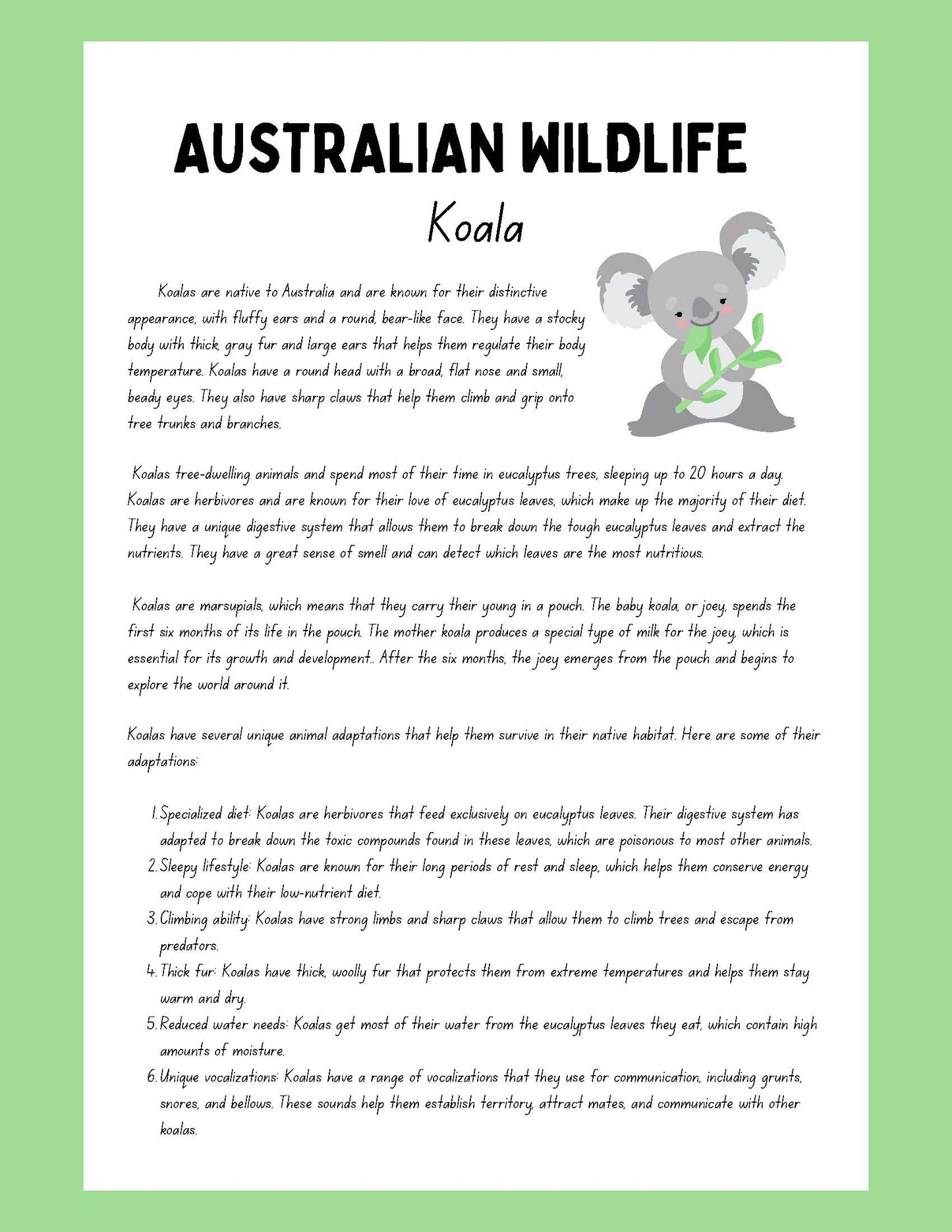 Koala Research Project australian wildlife