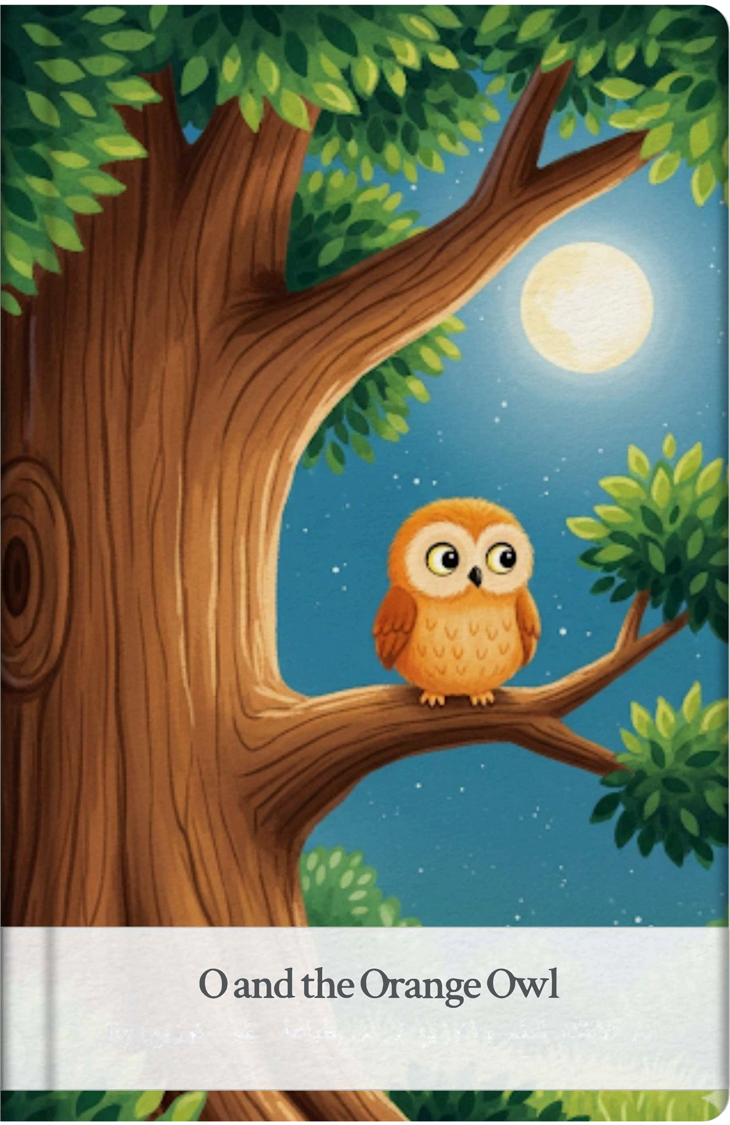 O and the Orange Owl