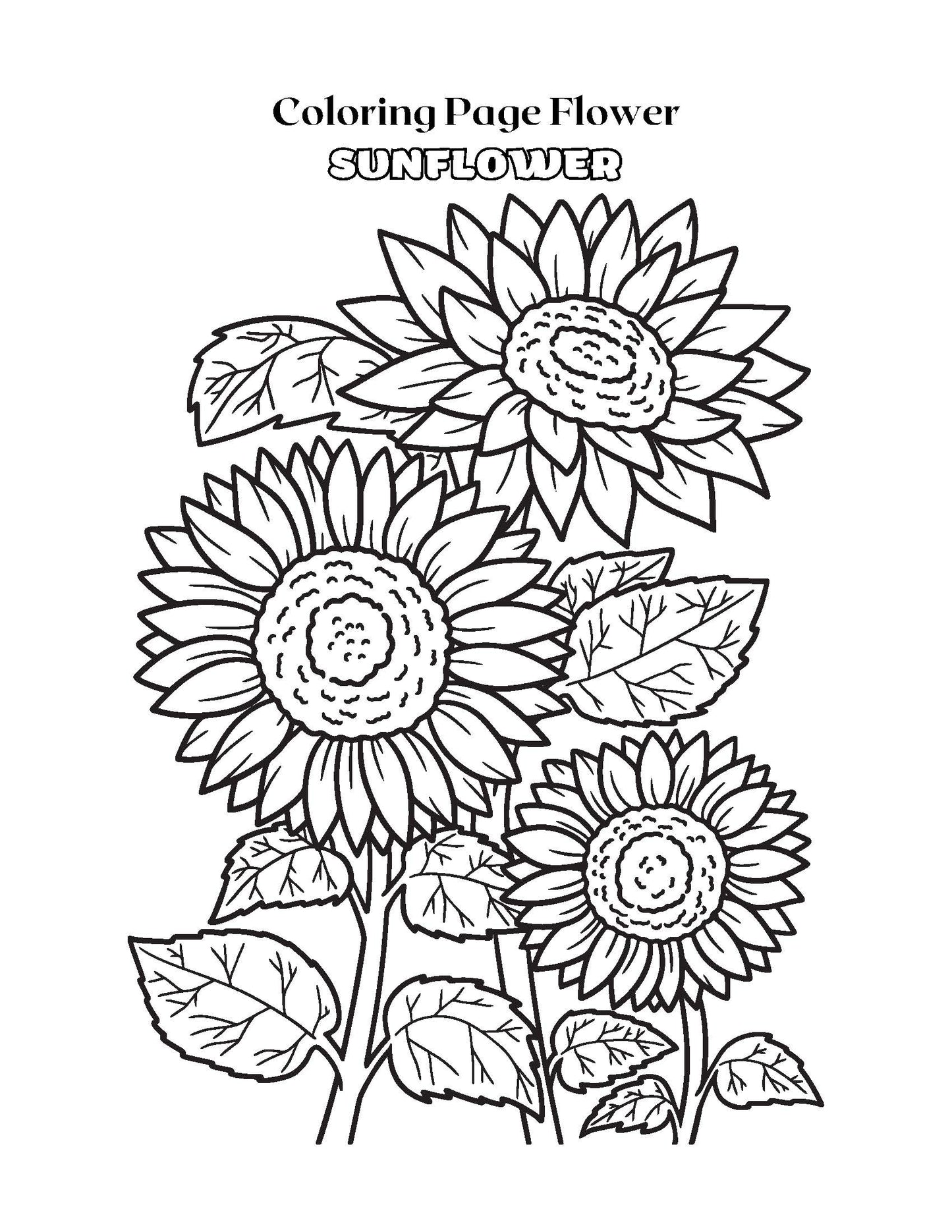 Coloring Page Flower SUNFLOWER