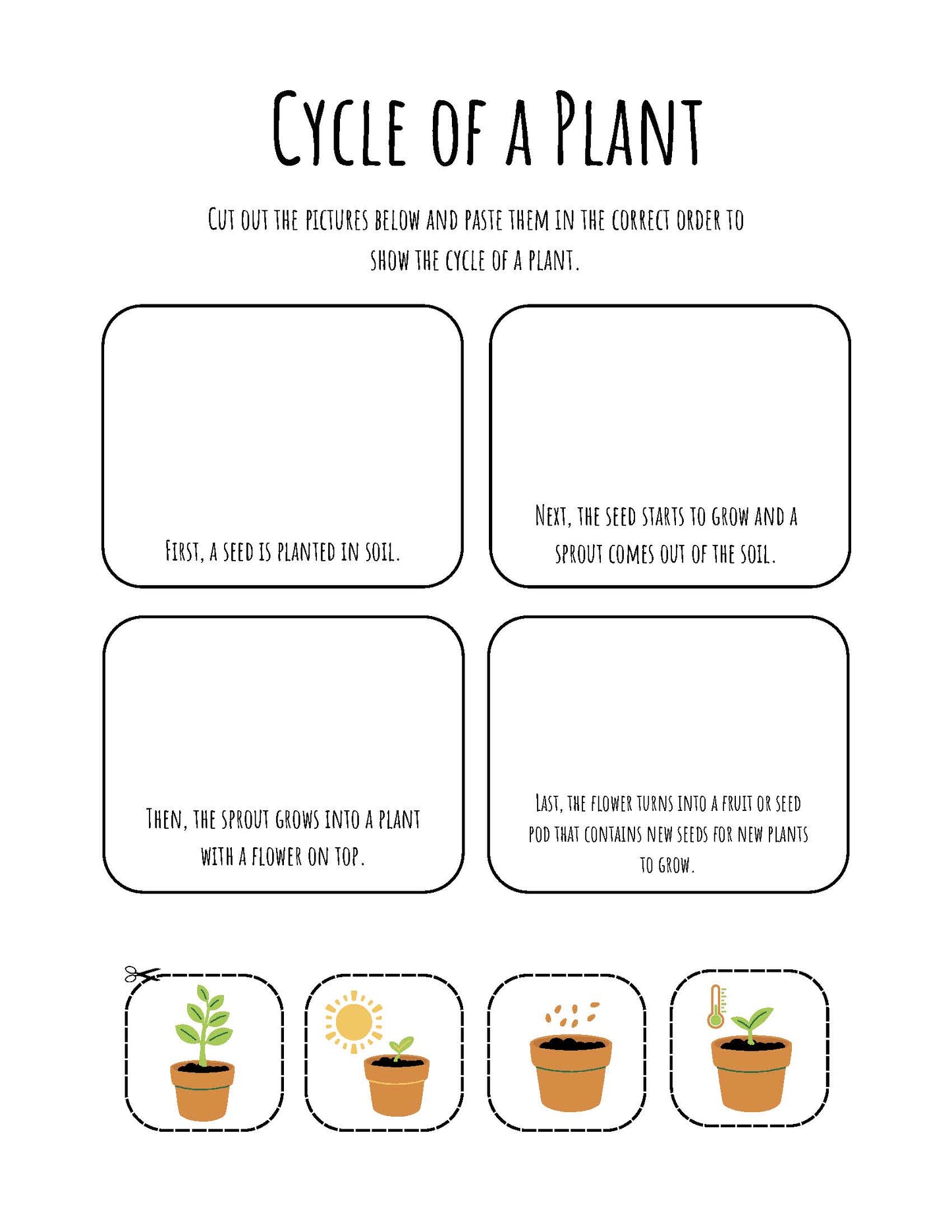Spring actıvıty book