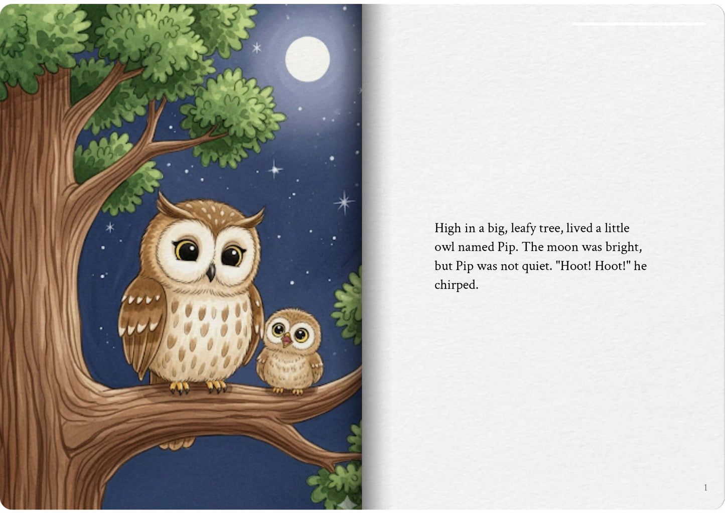 The Quiet Owl