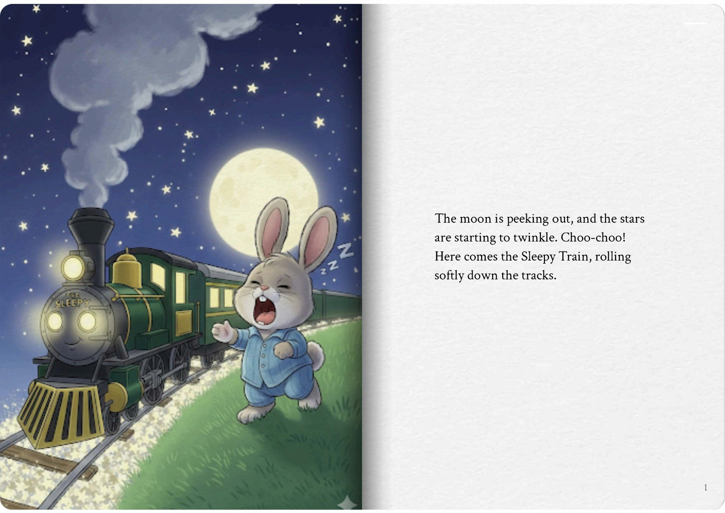 The Sleepy Train