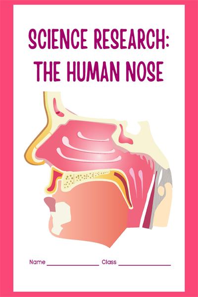 SCIENCE RESEARCH THE HUMAN NOSE