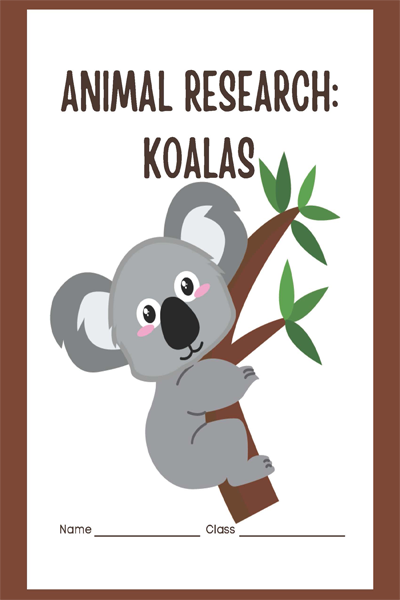 ANIMAL RESEARCH KOALAS