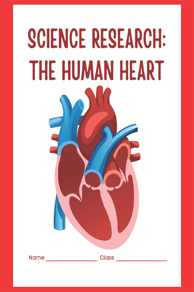 SCIENCE RESEARCH THE HUMAN HEART