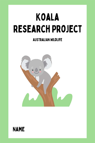Koala Research Project australian wildlife