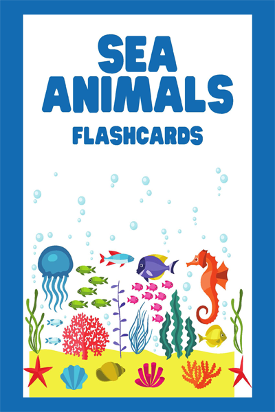 sea nimals flashcards
