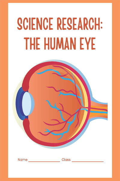 SCIENCE RESEARCH THE HUMAN EYE