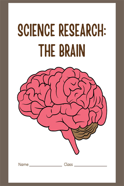 SCIENCE RESEARCH THE BRAIN