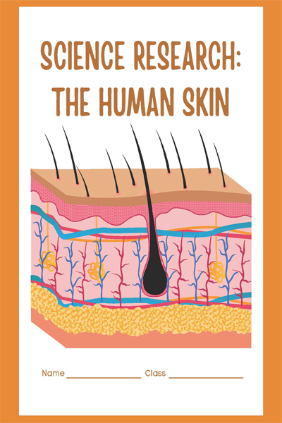 SCIENCE RESEARCH THE HUMAN SKIN