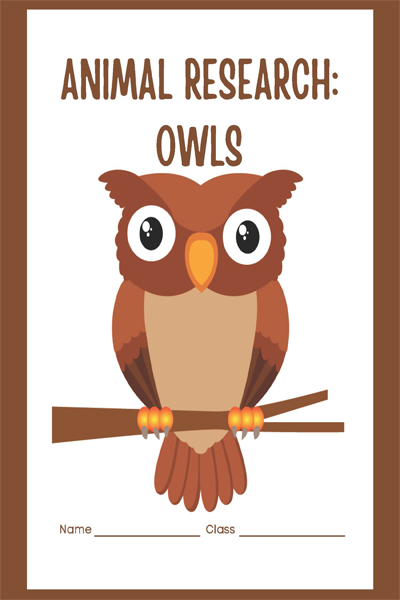 ANIMAL RESEARCH OWLS