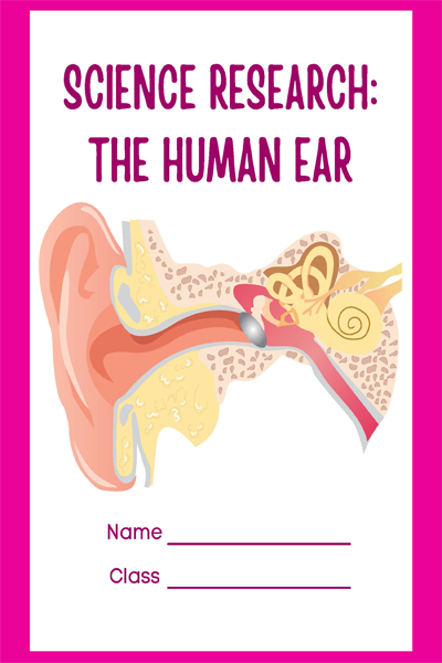 SCIENCE RESEARCH THE HUMAN EAR