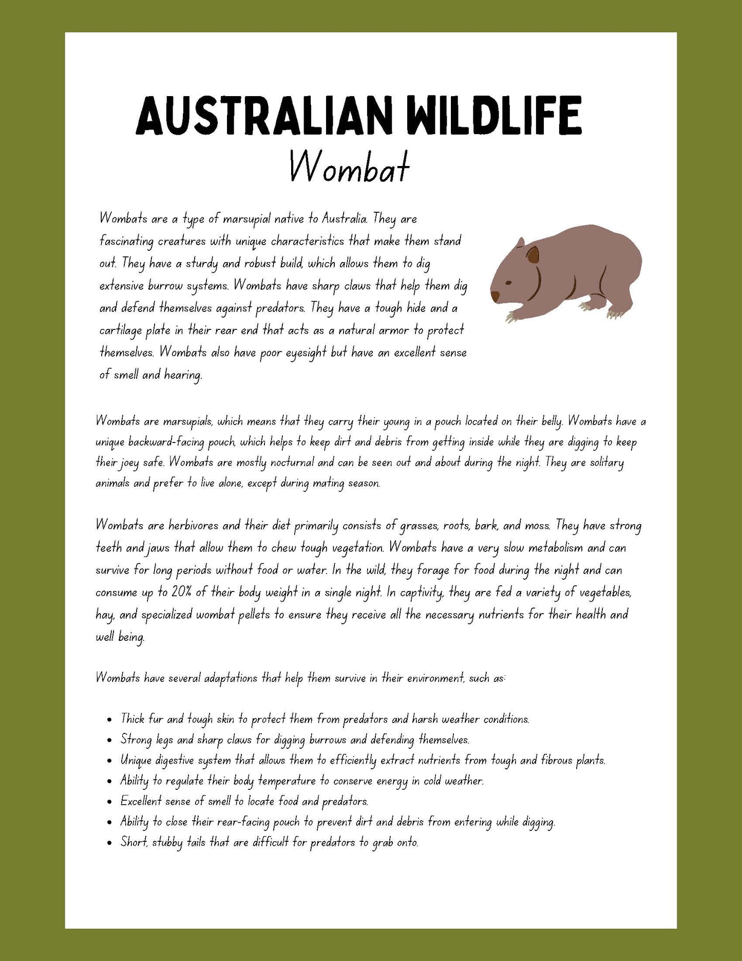 Wombat Research Project australian wildlife