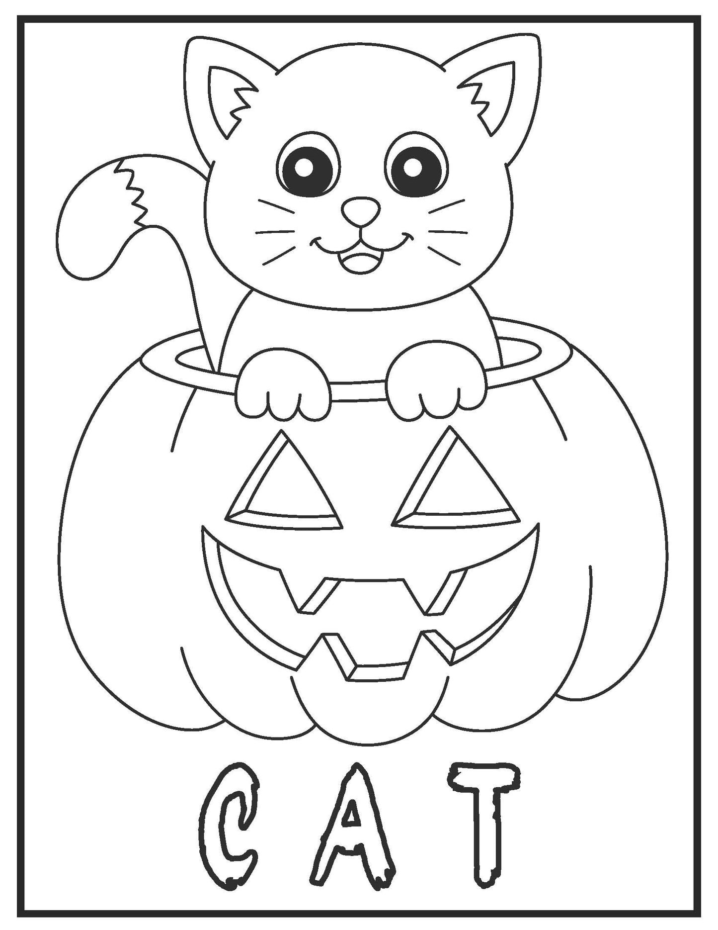 cute cat