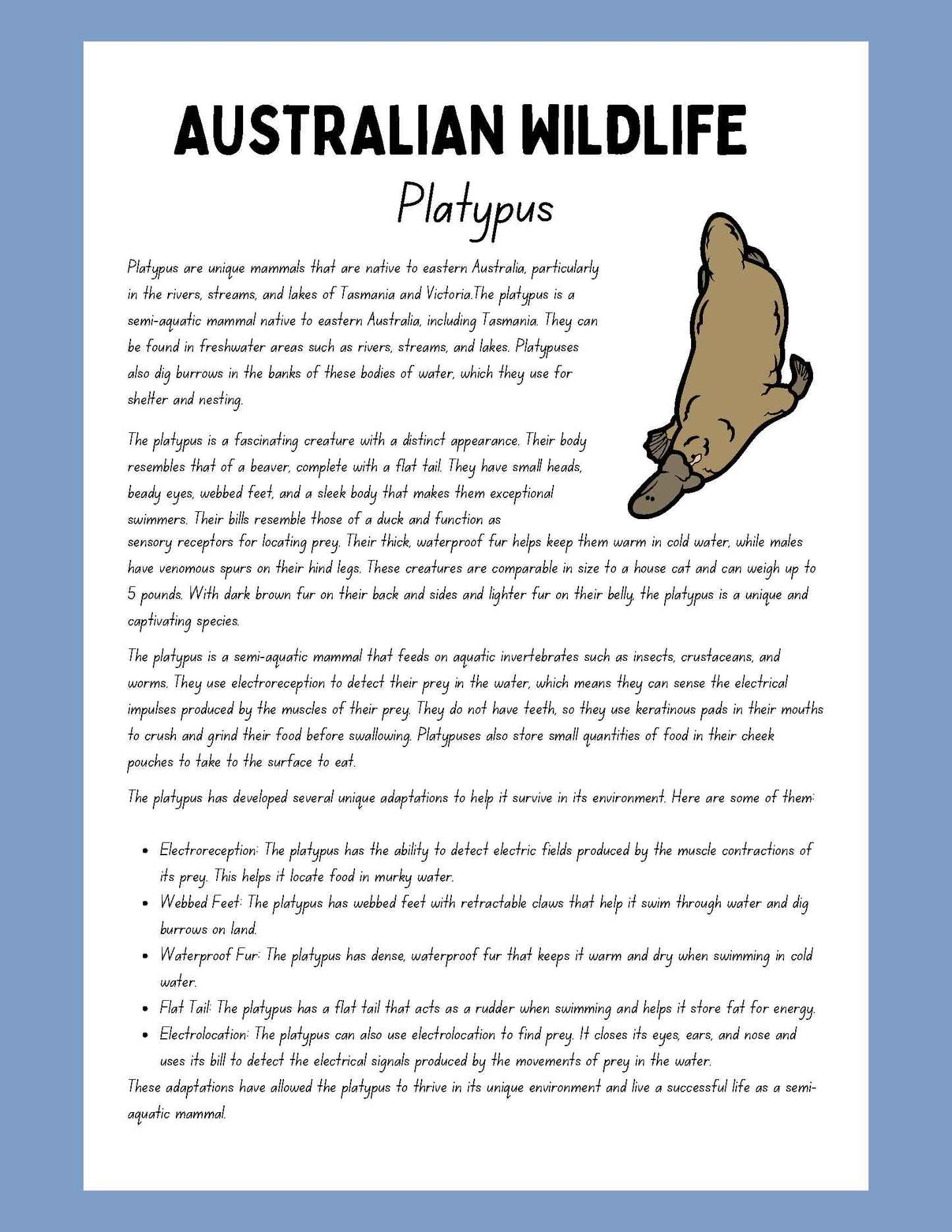 platypus Research Project australian wildlife