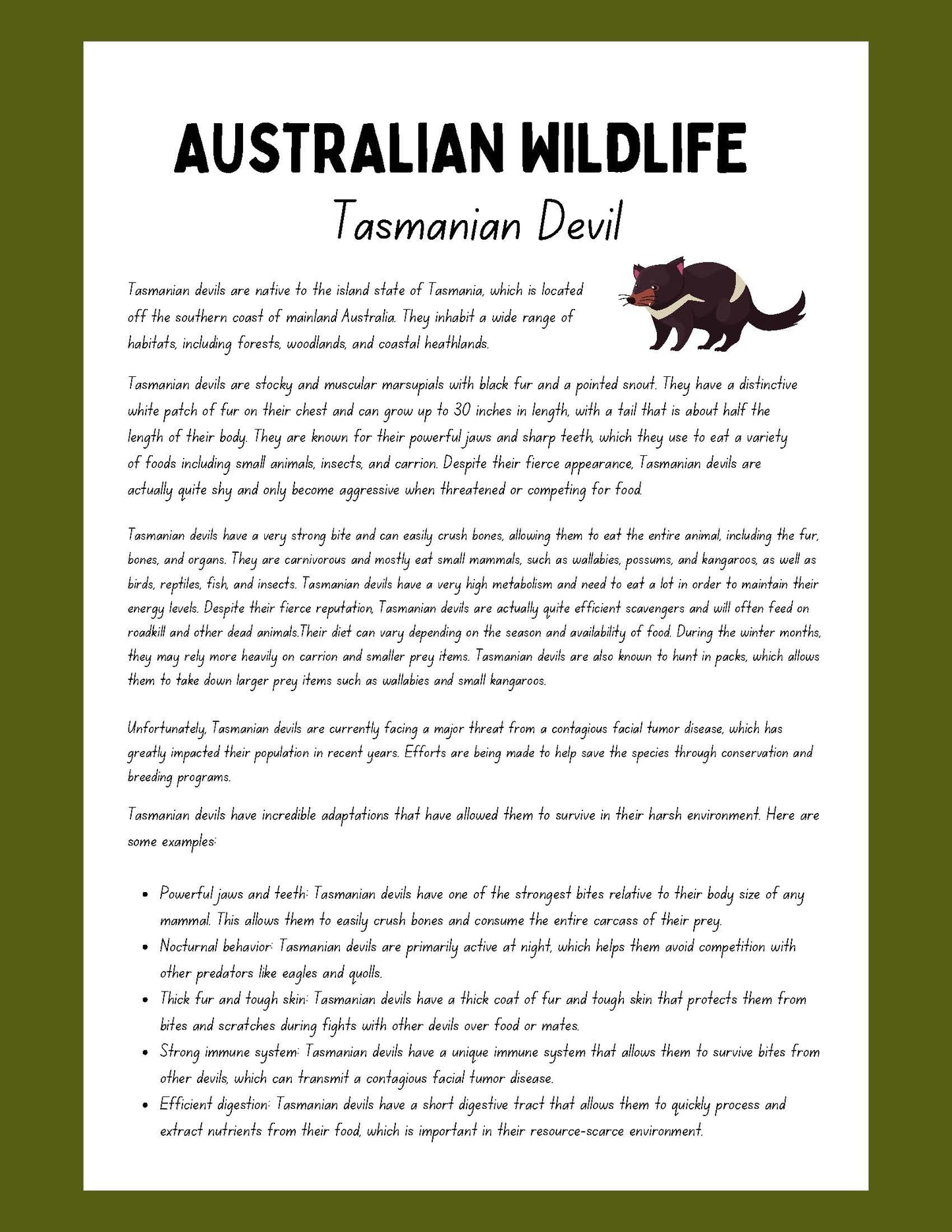 tasmanian devil Research Project australian wildlife